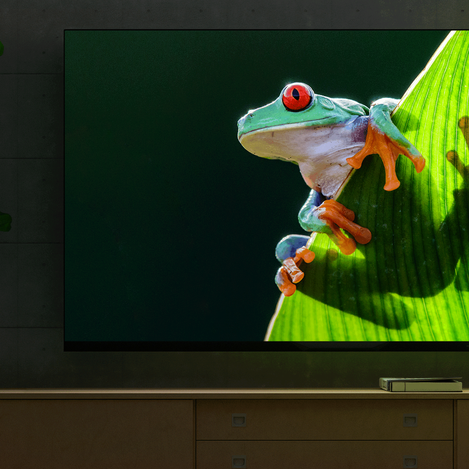 TX SR393 4 K on TV 2000x2000